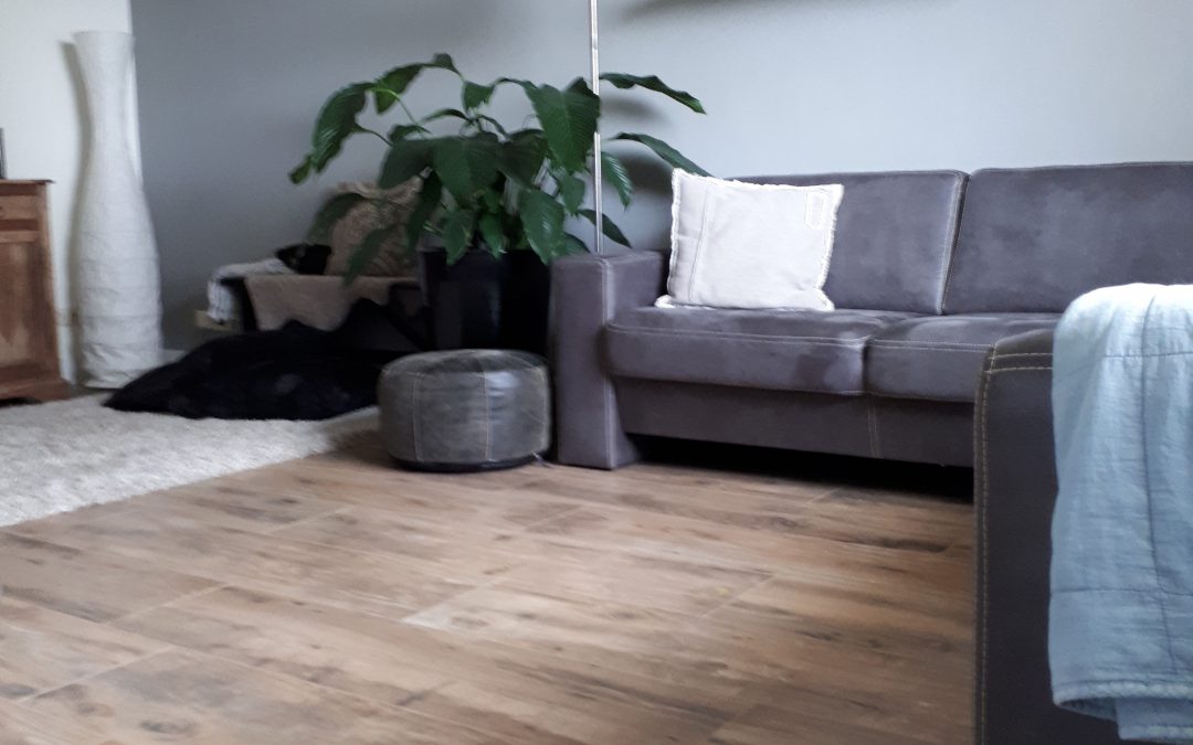 Landelijke woning met keramisch hout in de woonkamer en toilet