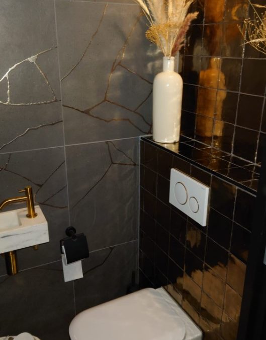 Gouden toilet in Raalte